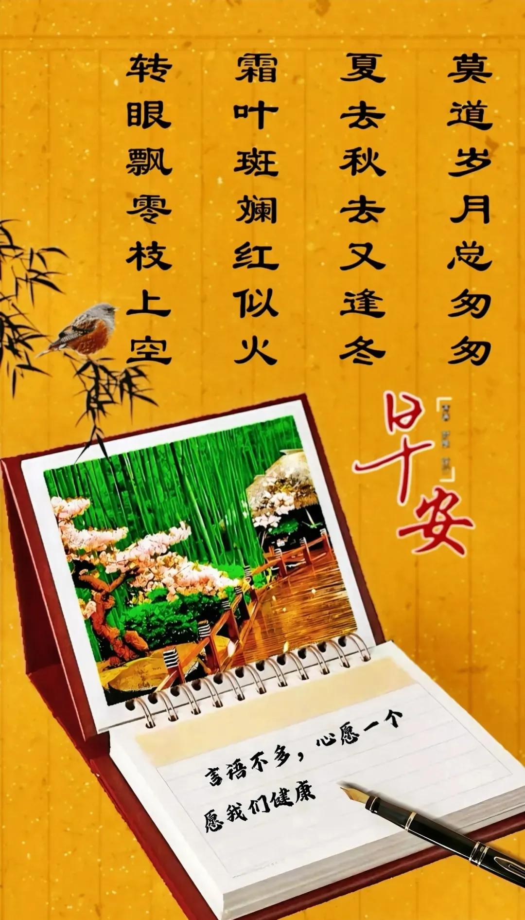 早安吉祥周二愉快
2024年11月19日
农历十月十九小雨