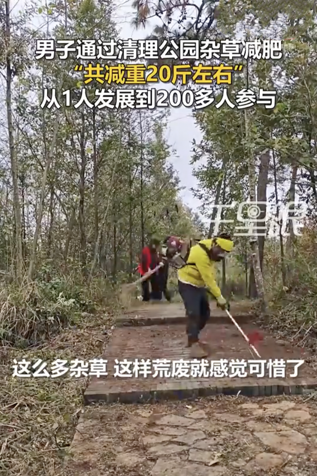 男子通过去公园清理杂草减肥20斤 这个好，一举两得