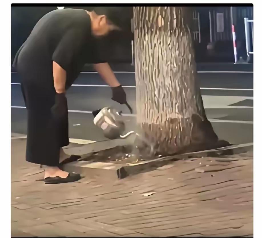 刷到一个视频，一个老太连续十四天用开水浇一棵银杏树。
一开始不明原由的邻居，以为