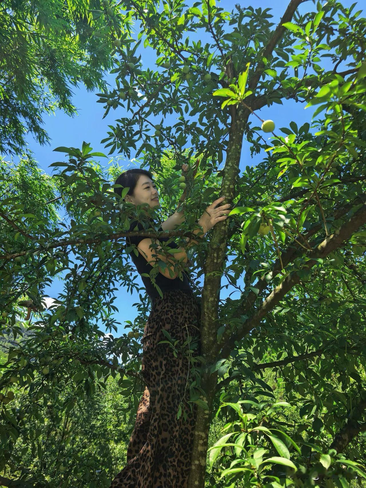 大山深处，树上长了个人…
