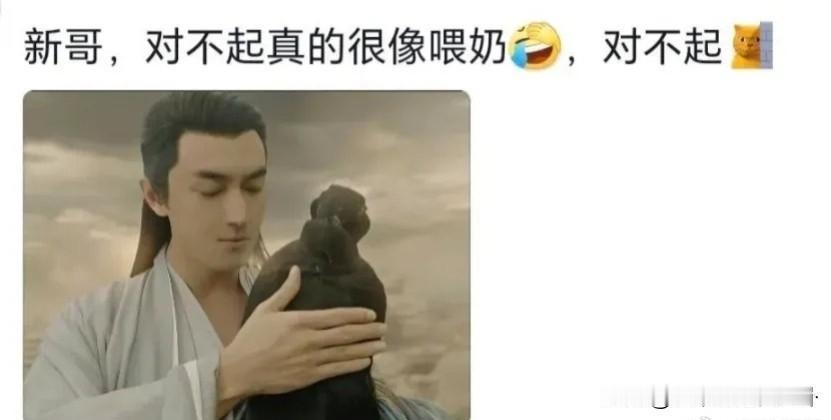 这网友评论的太搞笑了吧！