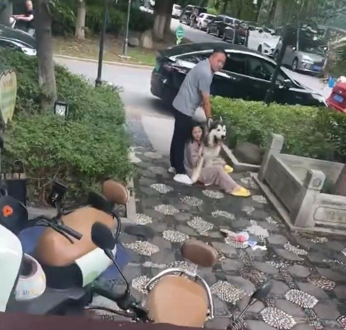 苏州遛狗不拴绳咬伤两名幼童 都说了多少回了，遛狗一定要拴绳，这是对别人负责，也是