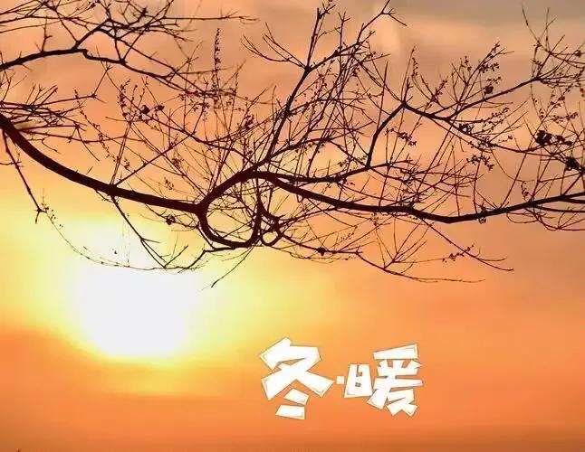 《 暖冬 》

已是寒时三九天，
风无凛冽雪无缘。
阴晴本是寻常事，
难料尤为大