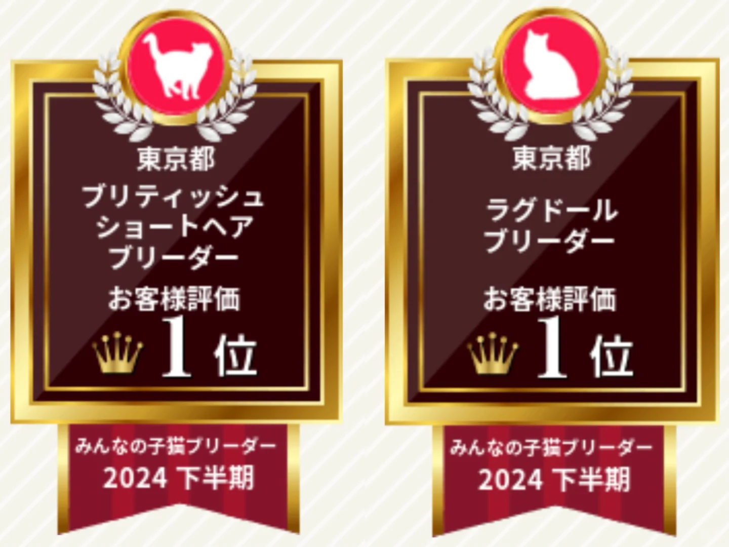 2024下半期 东京都 布偶第一 英短第一