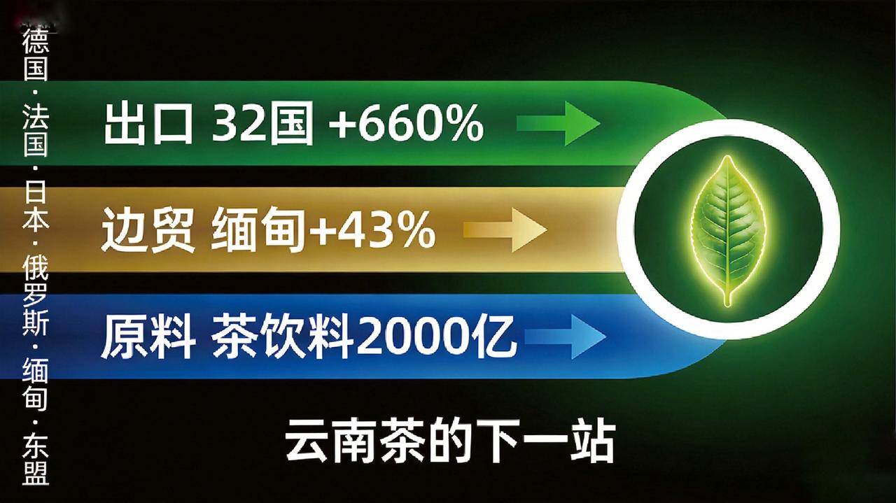 都说普洱茶“崩盘”了，这些实打实的数据，可能颠覆你的认知：
2026年前3个月，