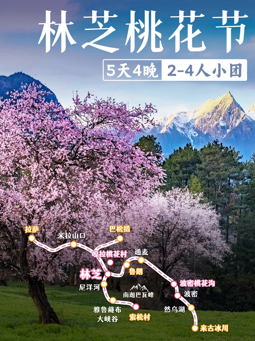 藏遇桃花🌸5天4晚全景林芝小团🚗2-4人