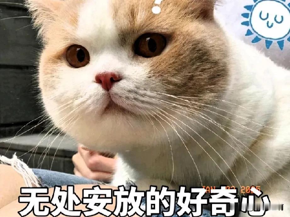 特别特别好奇！

见过给小狗、小猫，甚至小猪、小羊、小鸡、小鸭穿毛绒衣服的，可还