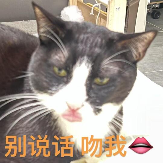 爱我你怕了吗