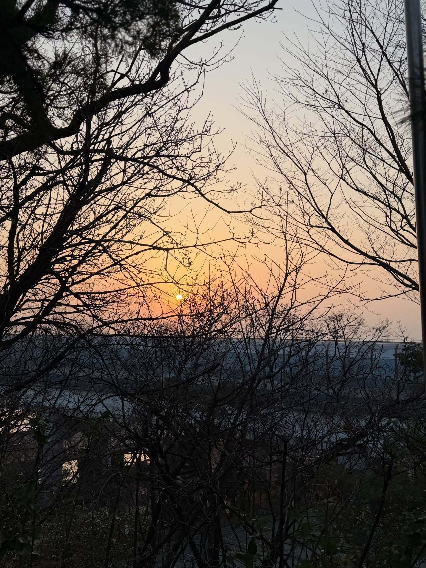 “CB百蓝_。260330金钟云 IG更新：There’s a scent of