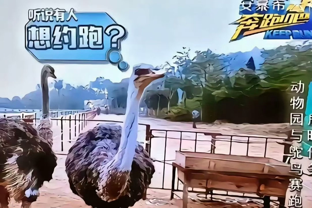 分享图片 