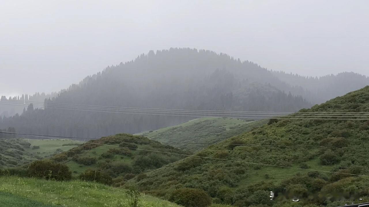 今天，我一直走在雨带上。木垒马圈湾到三台，一直下雨，伴有冰雹，好多年没见到过如此