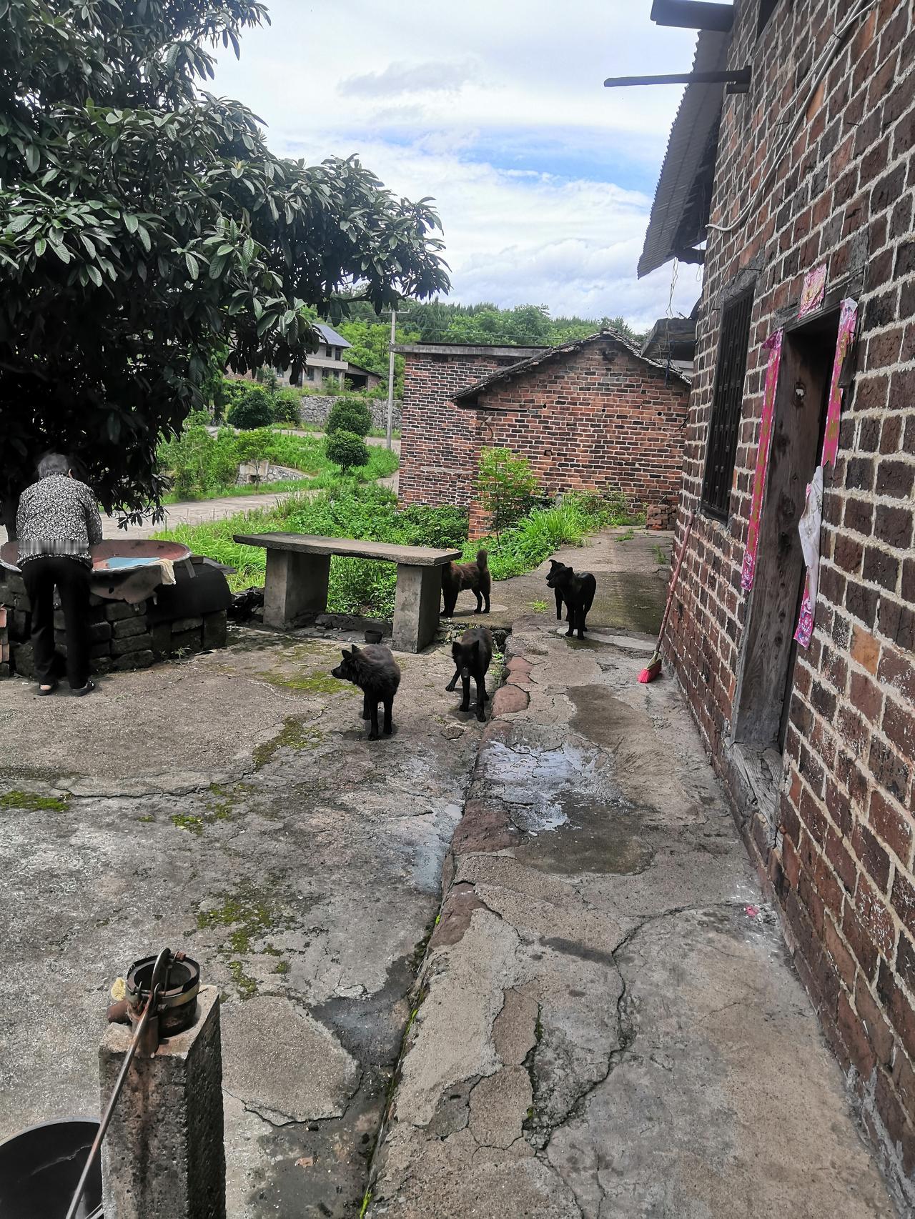 如果你现在深陷泥潭无法自拔，想要努力却又没有方向无从下手，那么接下来这几点你一定