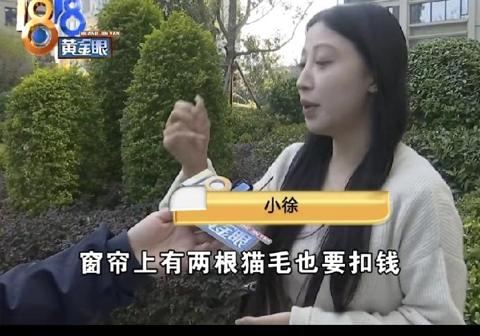 租客退租，因为窗帘上发现两根猫毛被扣钱？！杭州小徐这事，真让打工人们看得又气又笑