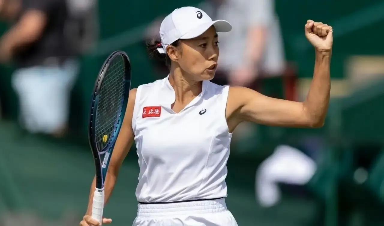 满打满算，张帅生涯美网赛事奖金；

08年，奖励13.1万元，止步首轮；

11