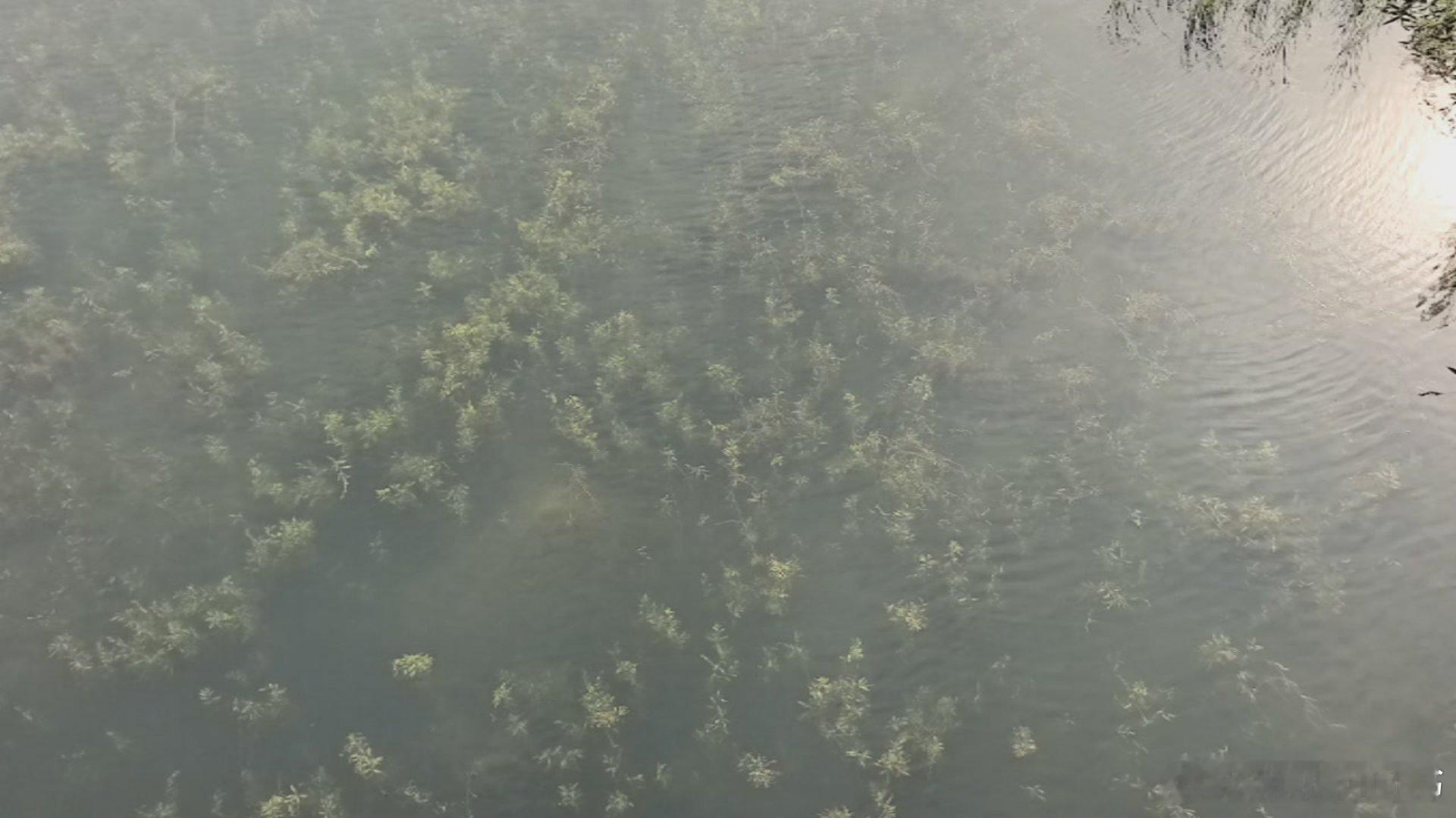 不要总在没鱼的地方抓鱼，鱼多的地方游个泳起来裤兜里面都是鱼。 