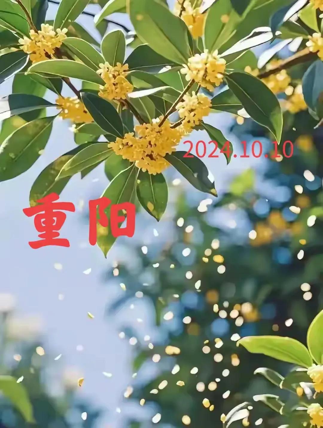 重阳节快乐！