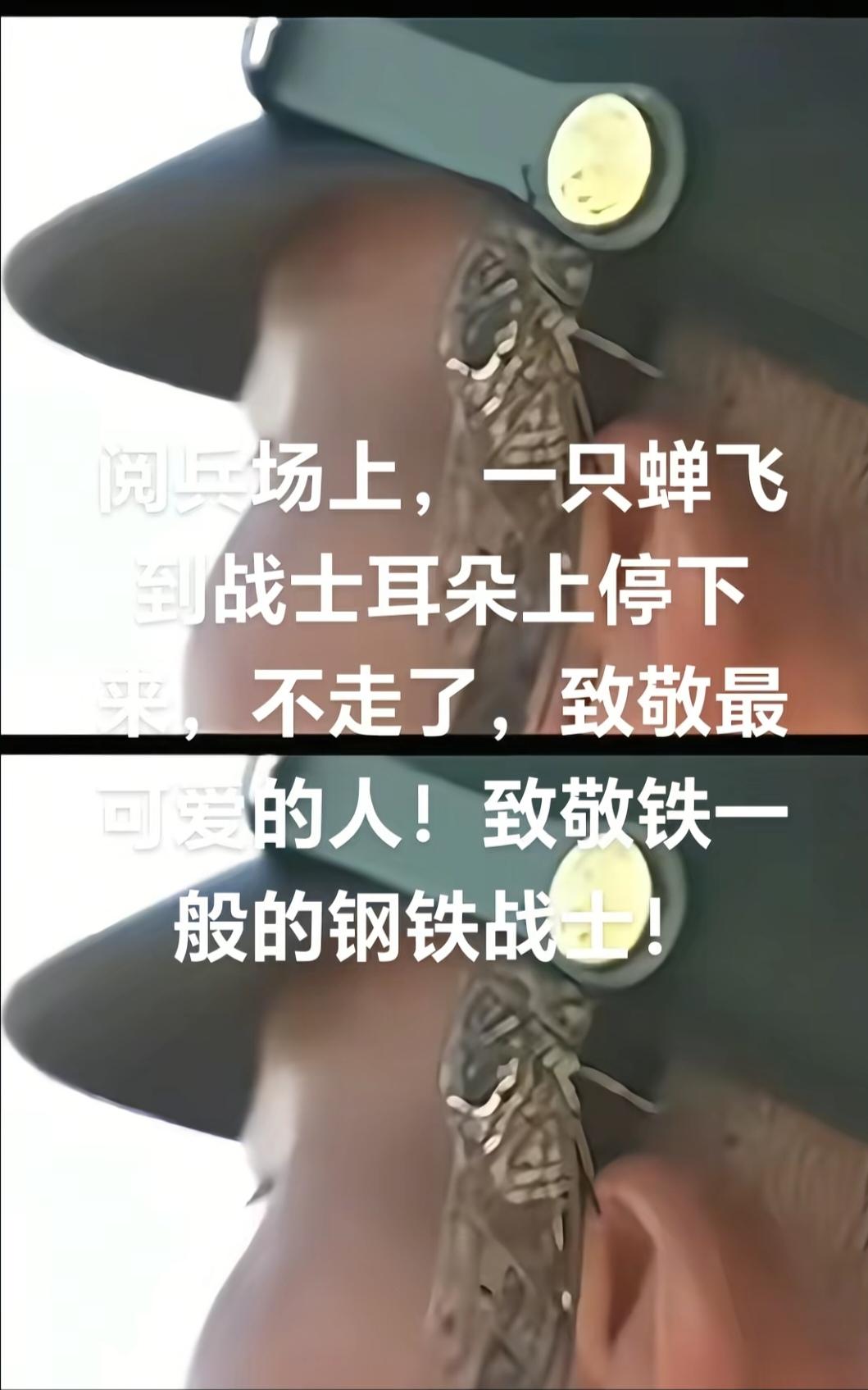 这张照片在网上引起了热议：

火箭军方队在训练时候，一只小生物突然“造访”。
