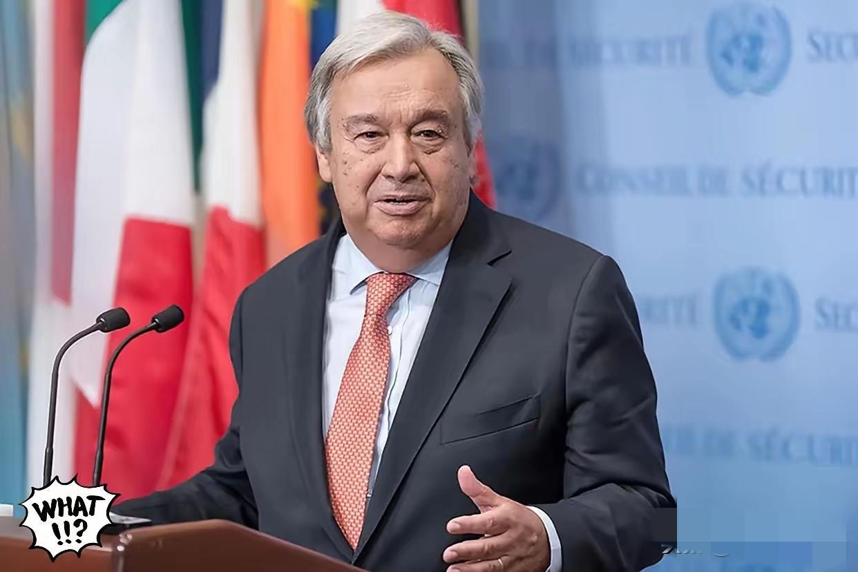 联合国发言人那句“手里没警棍，不能敲打成员国”，听着挺无奈，对吧？

但我琢磨了