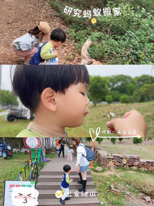 苏州遛娃｜太湖渔洋山两天一晚亲子游玩路线