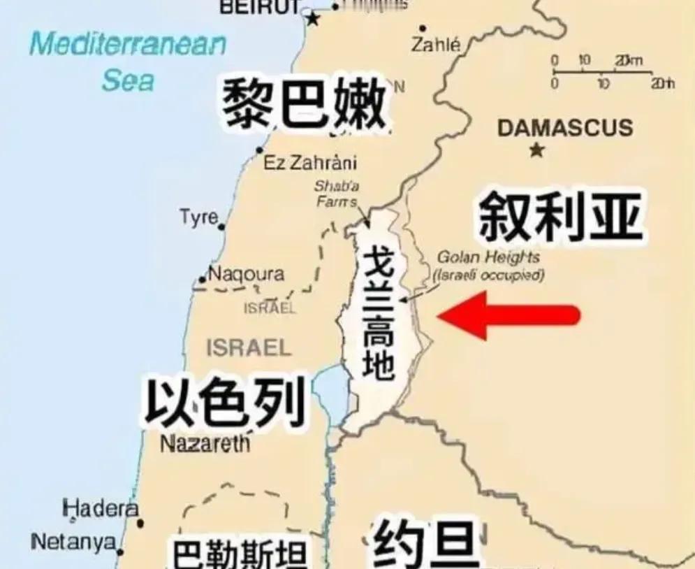 土耳其明显开始着急了。

俄罗斯卫星通讯社12月11日报道，土耳其外长菲丹表示，