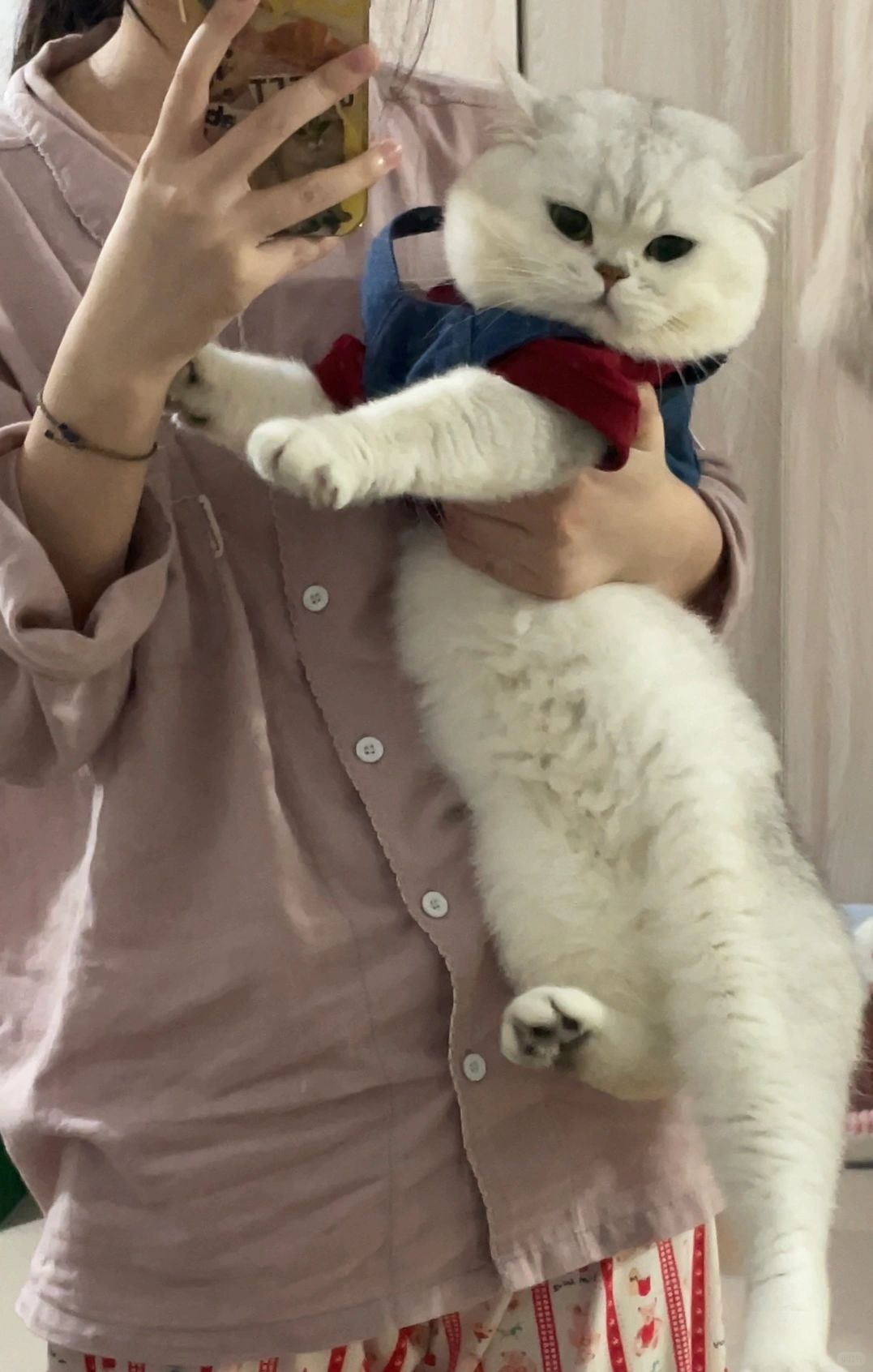 一张图证明你和哈基米的关系很好