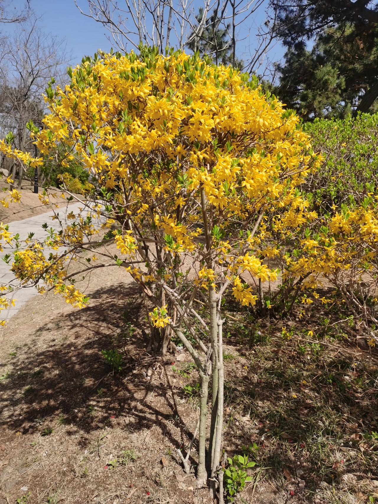 我的宝藏兴趣踏青正当时！