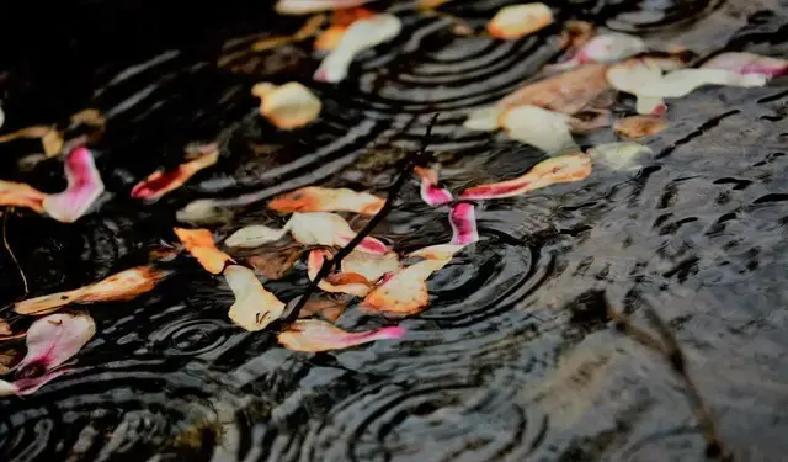 这副对联刚刷屏，短短七字就把无数读书人难倒了，轻风细雨落花泪，表面柔软，实则藏刀