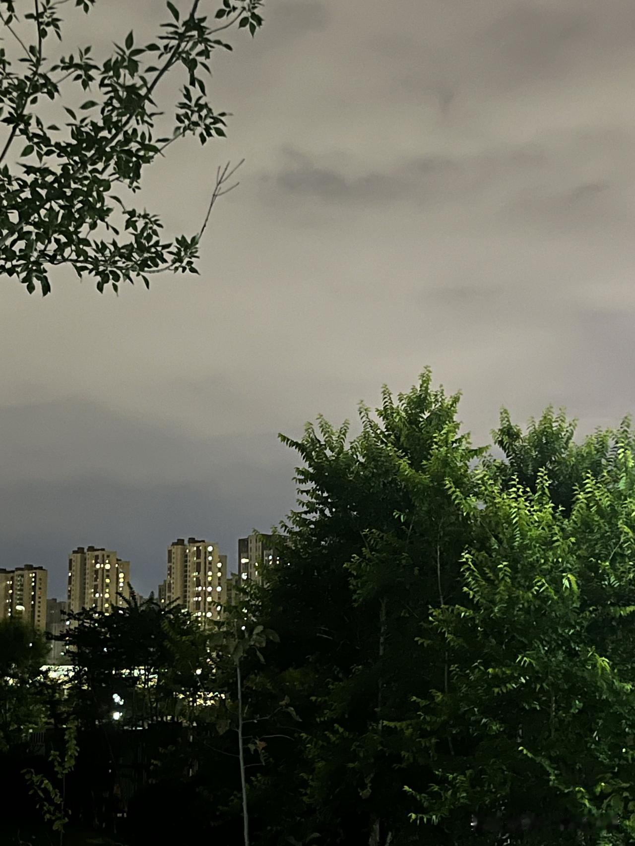 复旦大学梁永安教授说：“我有钱，但是我不花，我自己煮碗面吃。我生活艰苦，努力存钱