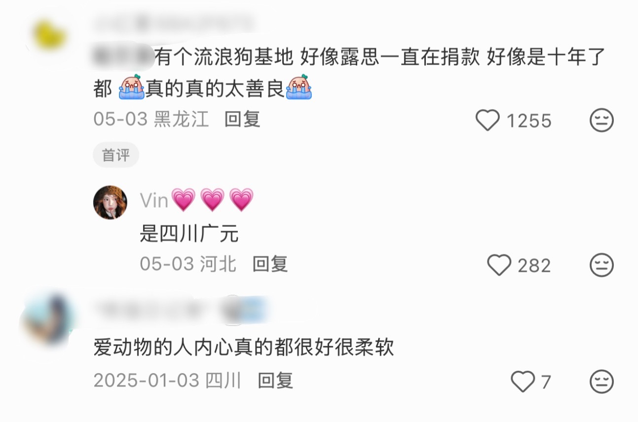 露思把收养的狗狗都照顾得很好，爱动物的人内心真的很柔软… 