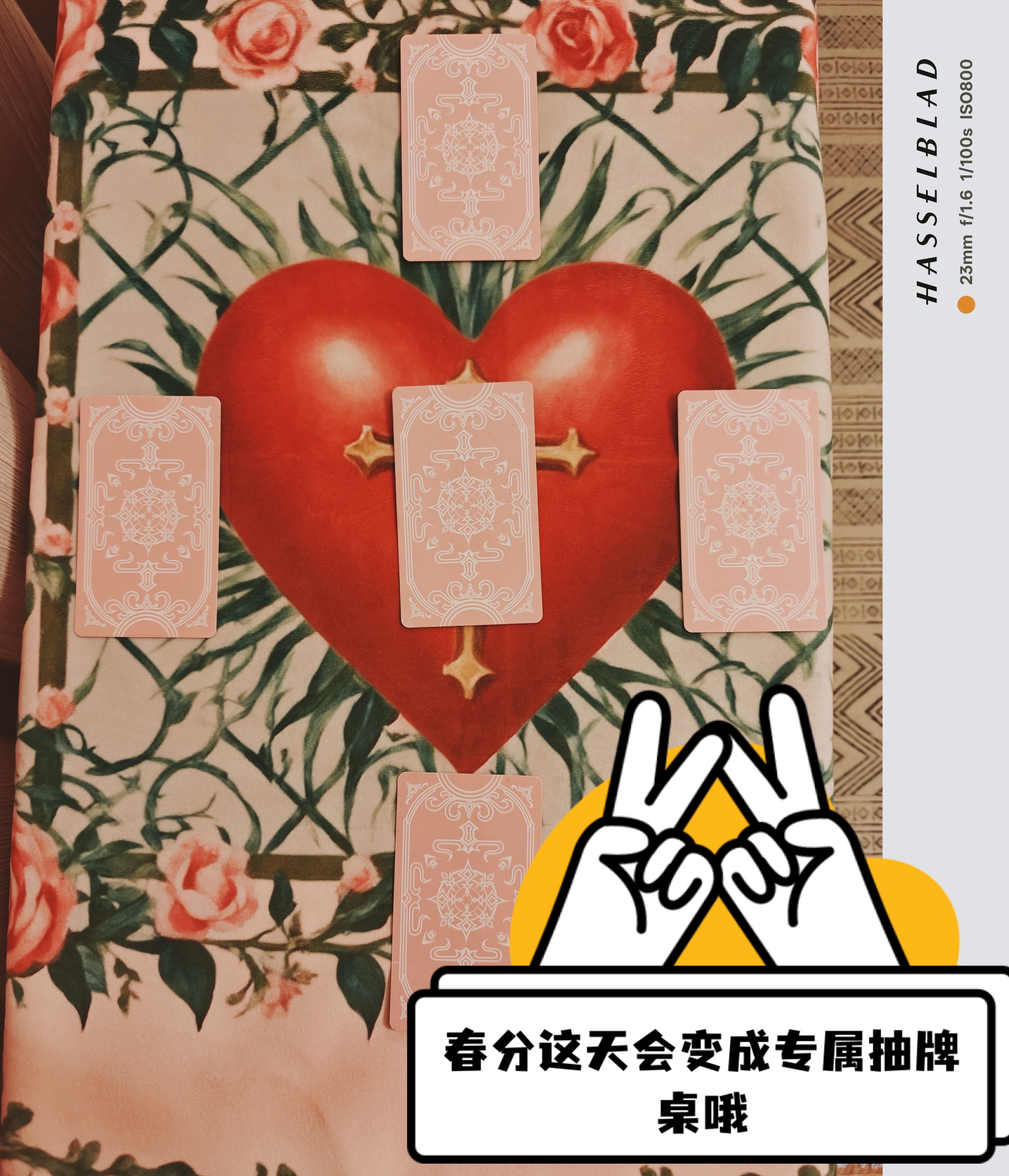 🌿 春分将至，一年仅此四次的“四季牌阵”开放预约！3月20日·太阳进入白羊座0