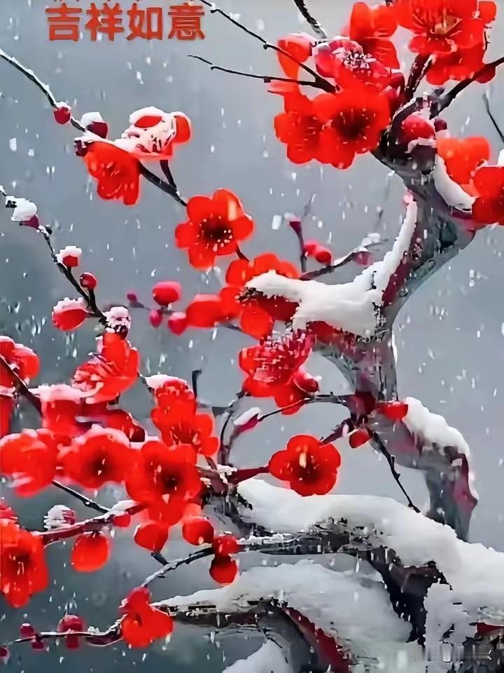 上联：雨中竹叶流青泪
下联：雪落梅花暗香盈