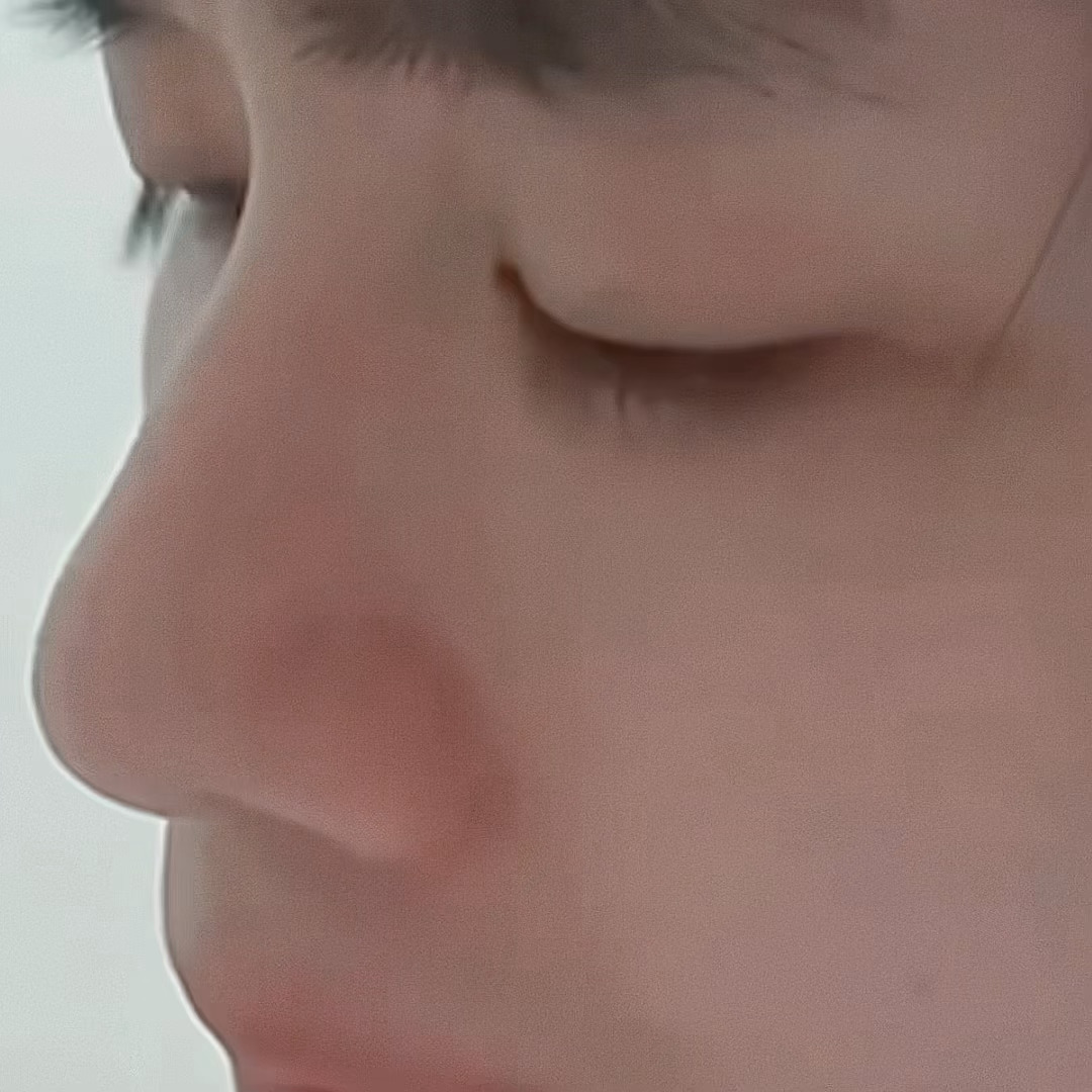 扑扇扑扇 