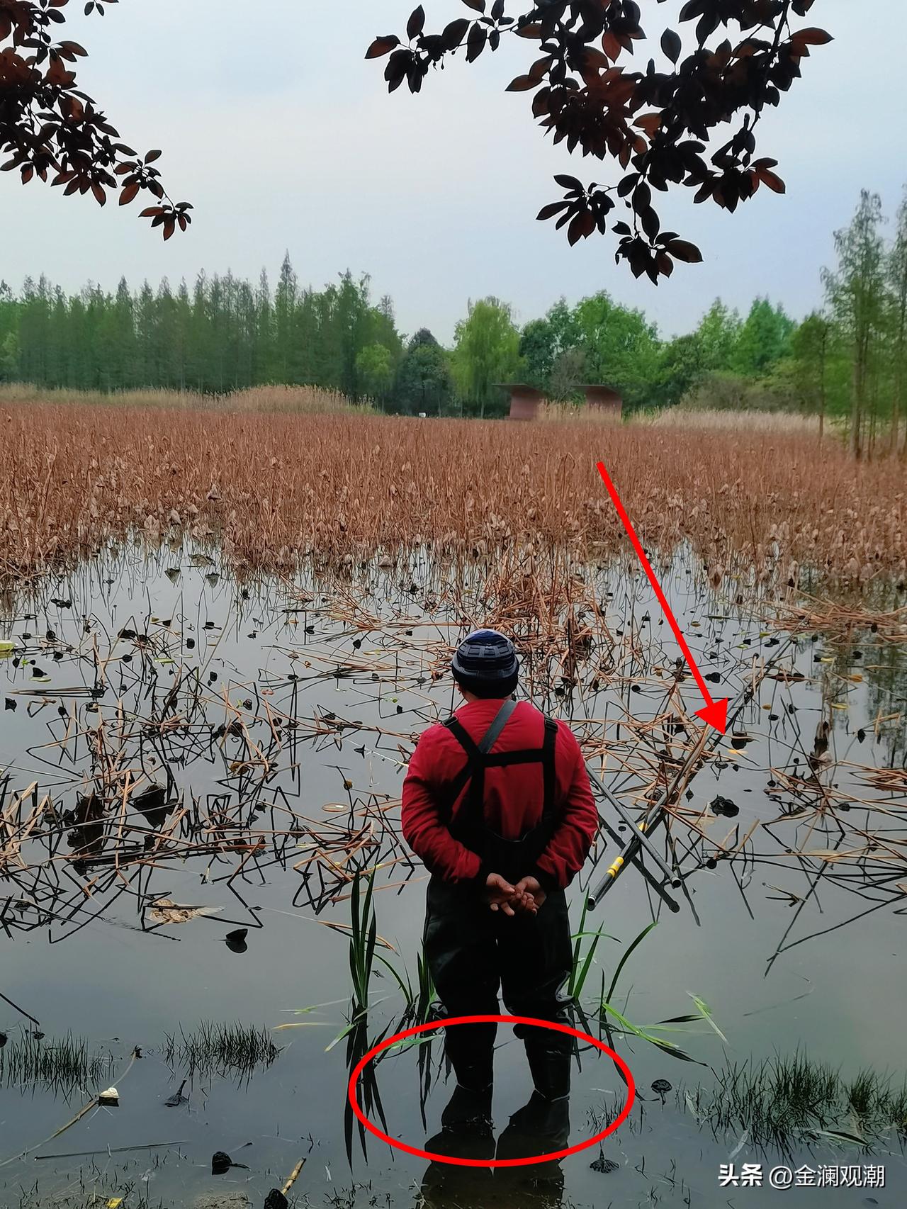 是人在钓鱼
还是鱼在钓人？
你对这位大爷怎么看？