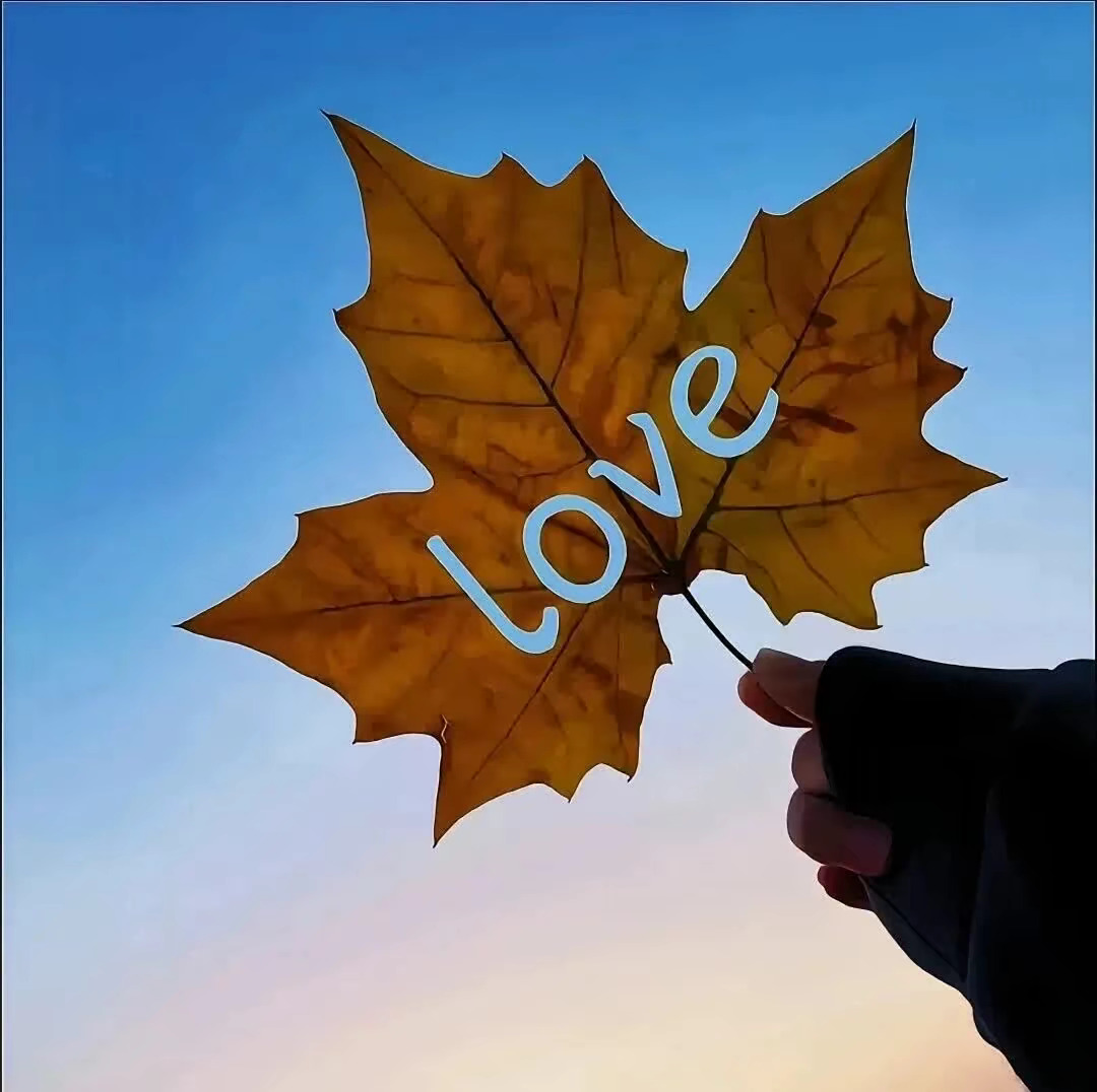 巴菲特最新十大投资判断 1. 美股整体不便宜，现在不会大规模出手 2. 不会为了