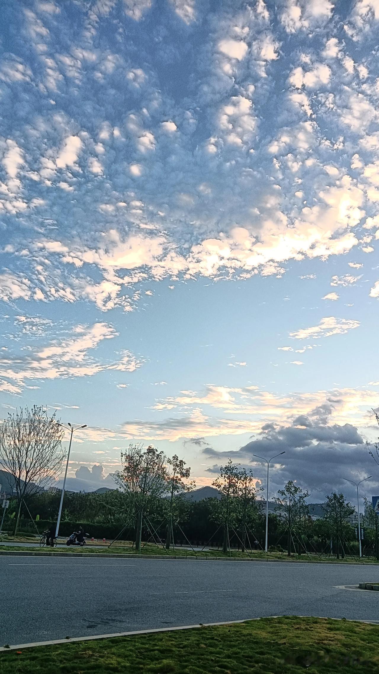 今天，
最低气温6度。
对生活在南方的人们来说
可算是严寒的。
街上的行人
都穿