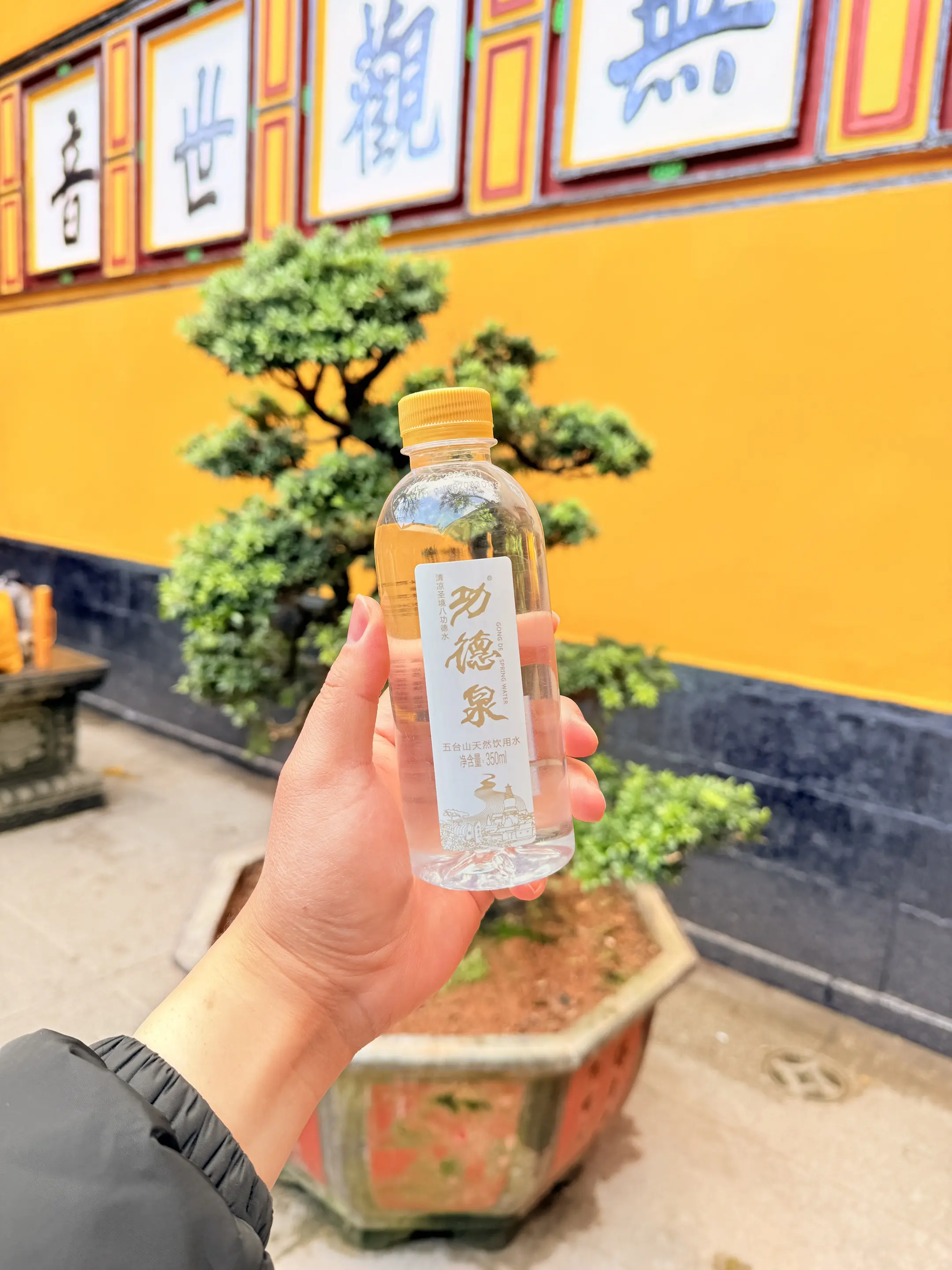 功德泉｜源自五台山西台·八功德水 海拔2000+米净土秘境，天然自涌山...