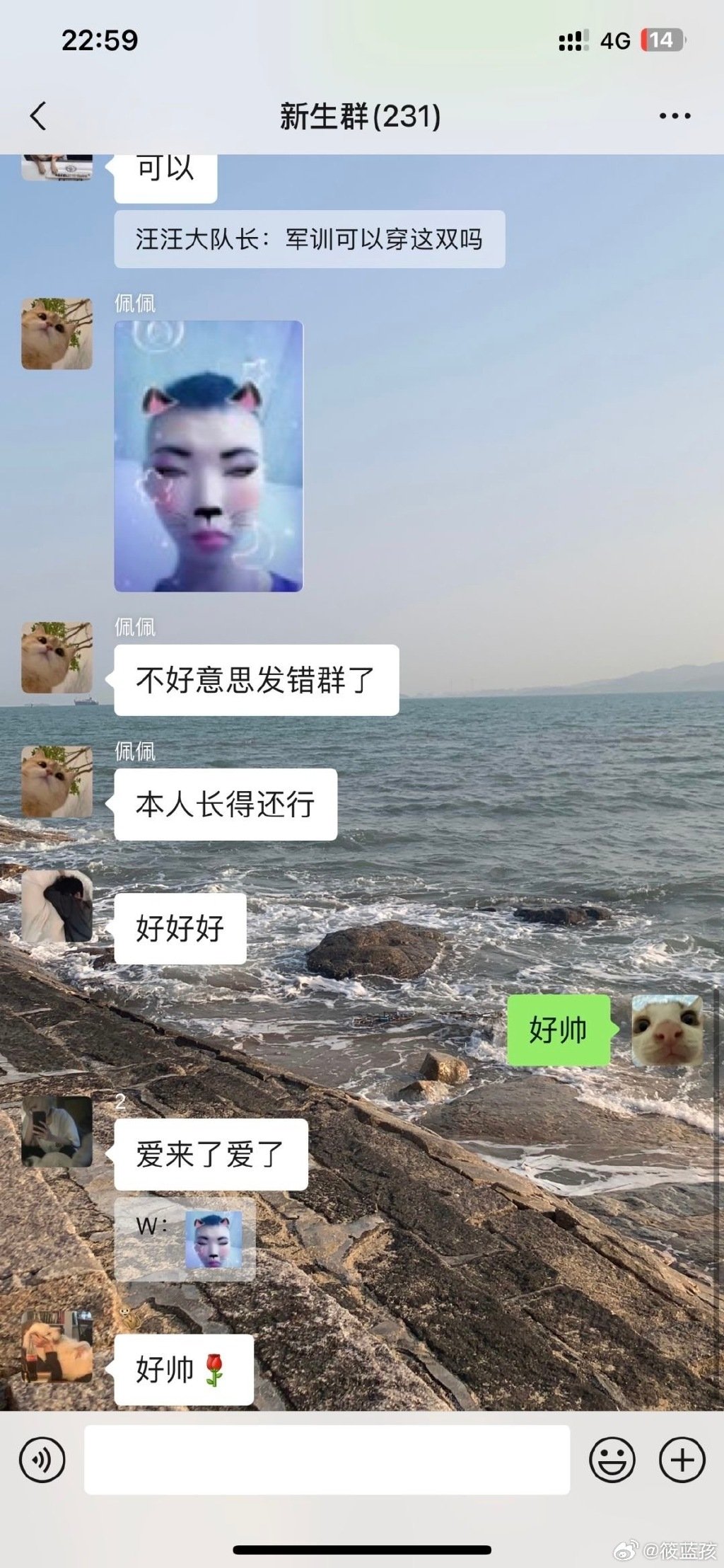 我就是新生群的那个显眼包，笑死了 ​​​