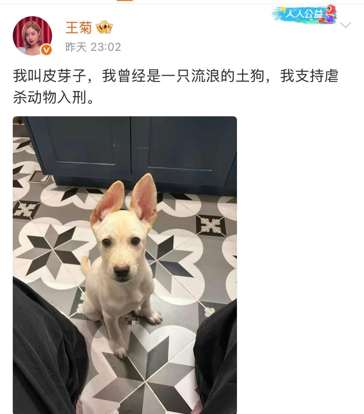 王菊发文为小动物们发声了王菊是第一个发声的明星王菊为虐杀动物发声