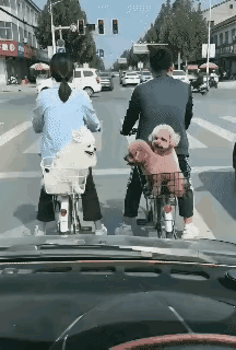 可爱死了，就是不知道是不是真的？

刚刚，在网上看到这样一个动图，感觉太可爱了。