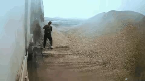 咋不跑开呢
腿被压伤了？
一点求生的本能也没了？