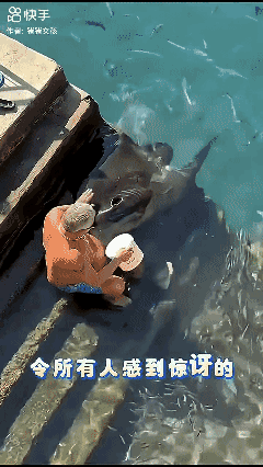 跨界友谊🤝