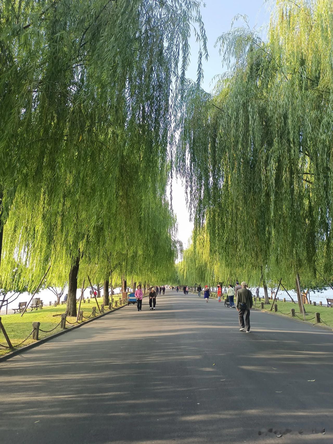 旅行～～
杭州西湖，徒步白堤苏堤水域一周。