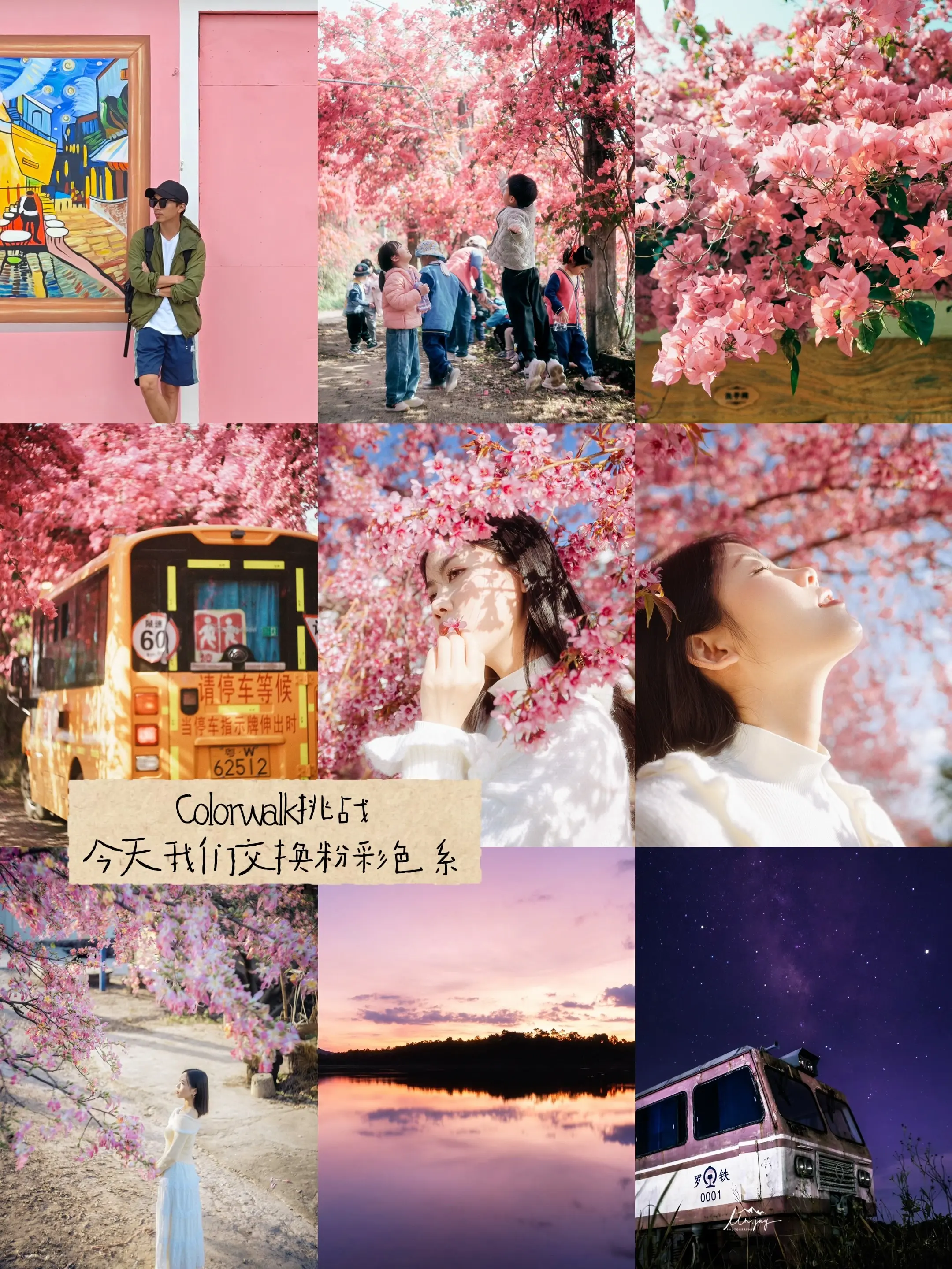 colorwalk挑战 今天我们交换粉色。