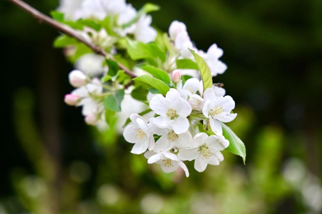 【看花收神，遇事空心】
        “看花收神，遇事空心”，真是道家的处世智
