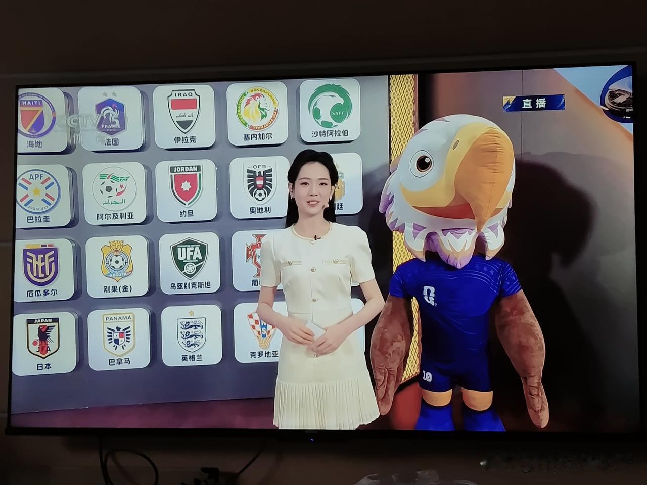 如今世界杯已经开播，央视体育频道24小时直播。
我们又闲操心，中国这么多球迷，这