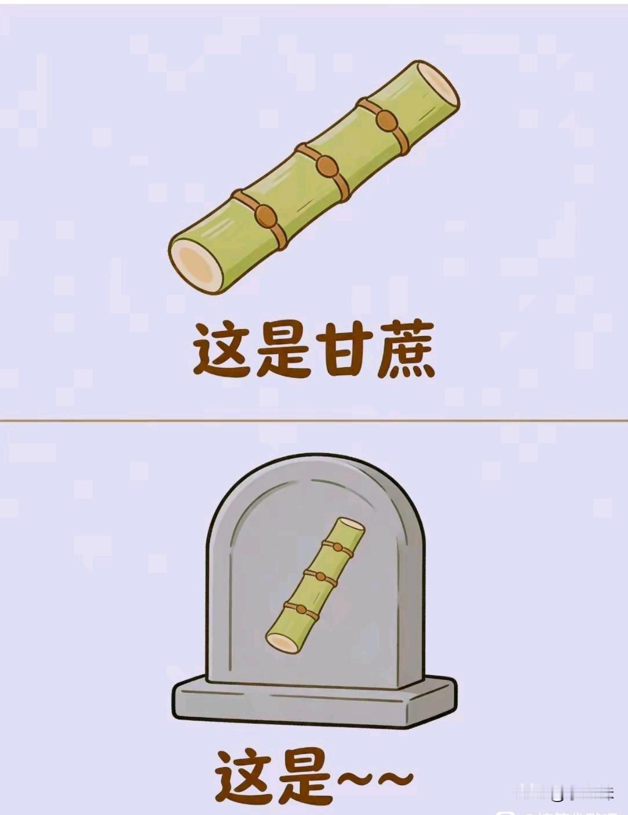看了半天没看懂这是啥意思，有没有大佬来解释解释？