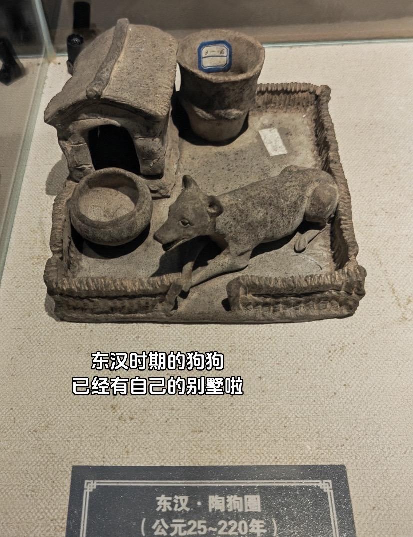 原来古人也是非常喜欢狗狗的 从原始社会协助人类狩猎、守护营地，到农耕时...
