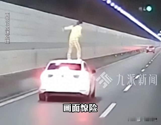 浙江隧道惊魂一幕！女子爬出车窗跳车顶，货车极限避让险些翻车