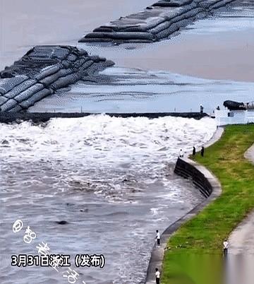 钱塘江的水，已经冲上岸，没过脚面了。
旁边的人尖叫着往后跑，他举着手机，纹丝不动