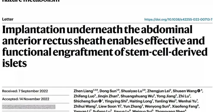 干细胞治疗糖尿病又有新突破！瑞普晨创在Nature Metabolism发布胰岛移植新策略